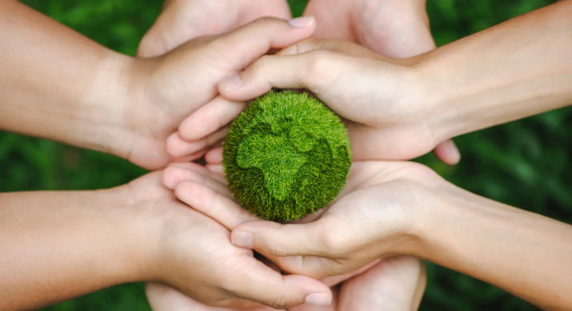 Why Sustainable Media Matters, and How to Get It Right